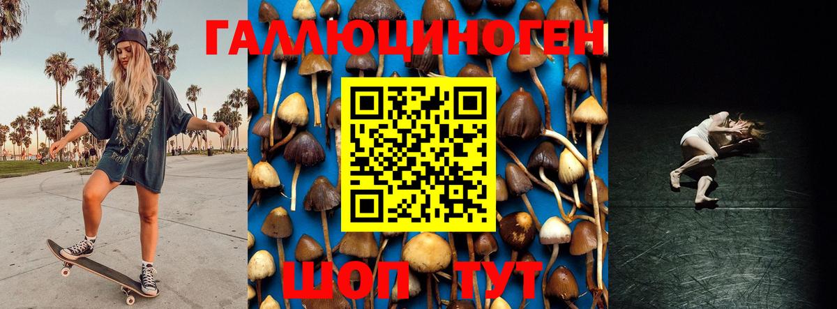 Кизилюрт  Псилоцибиновые грибы мухоморы  Вход с VPN  Галлюциногенные грибы MAGIC MUSHROOMS 