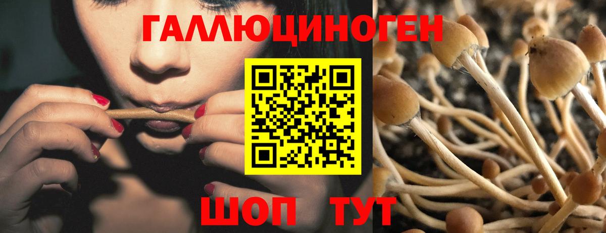 Псилоцибиновые грибы прущие грибы Кизилюрт
